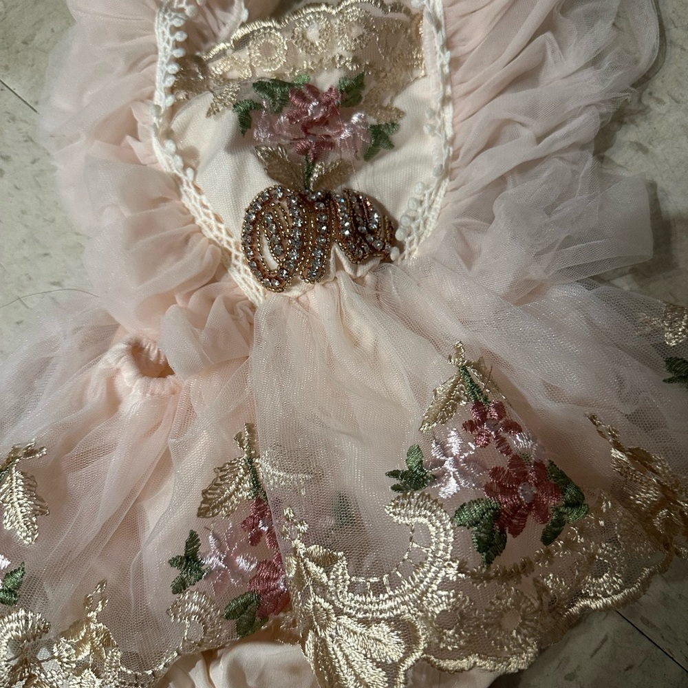 Elegant Floral Embroidered Kids Dress
